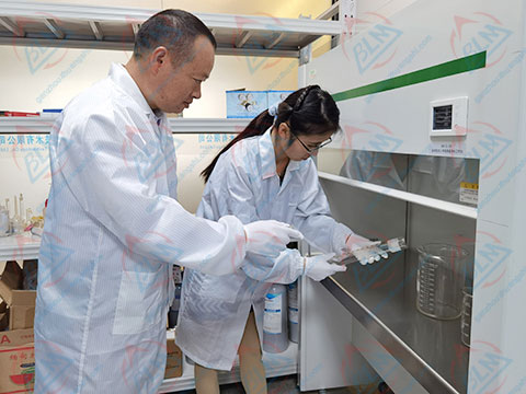 化學成人看片在线观看圖片